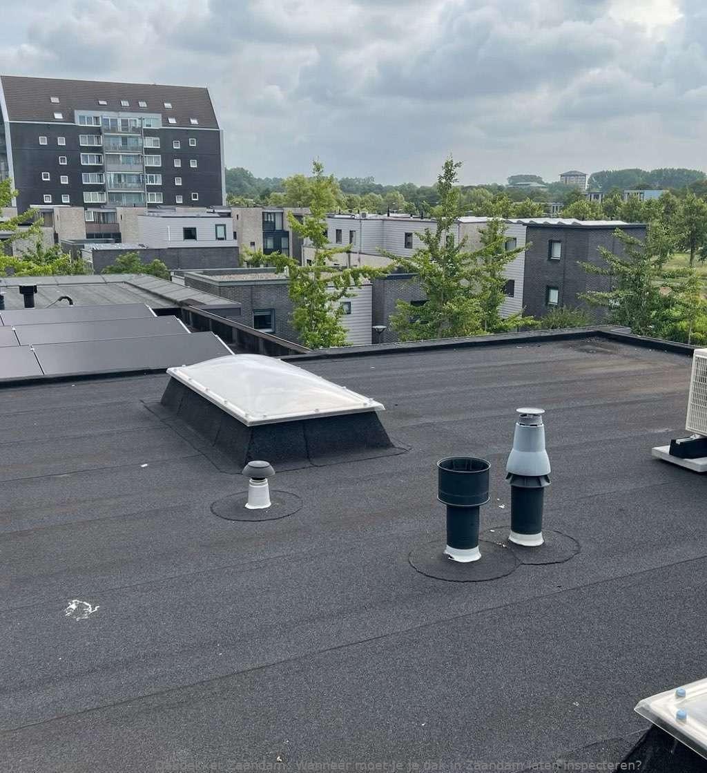Dak Laten Inspecteren Zaandam