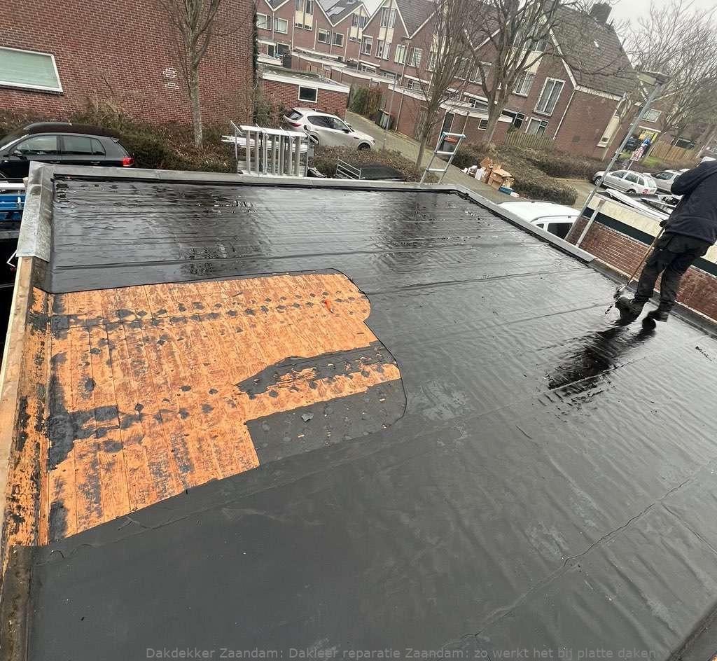 Dakleer Reparatie Zaandam