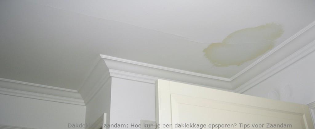 Daklekkage Opsporen Zaandam 1