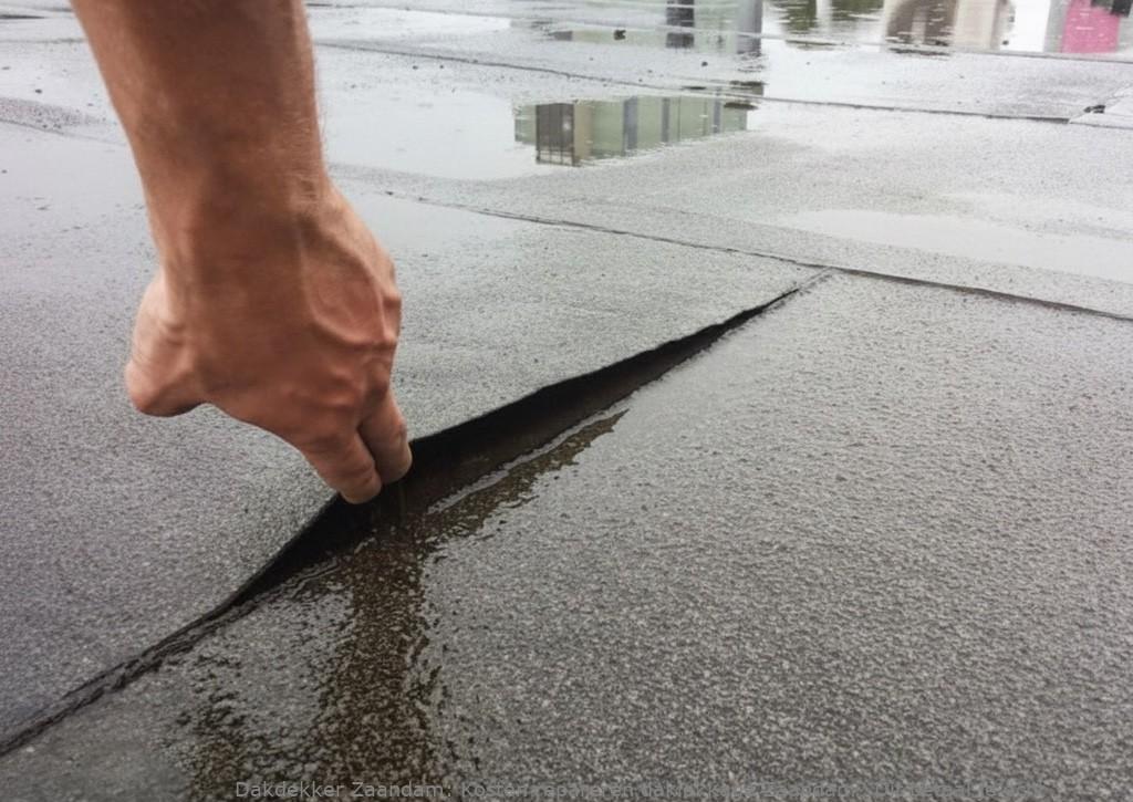 Kosten Repareren Daklekkage Zaandam
