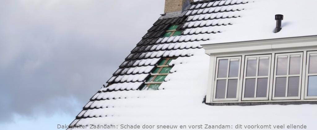 Schade Door Sneeuw En Vorst Zaandam