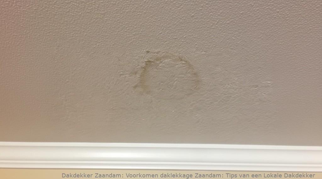 Voorkomen Daklekkage Zaandam