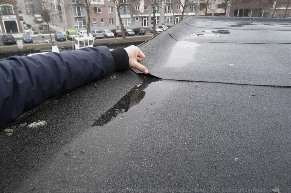 Voorkomen Daklekkages Zaandam